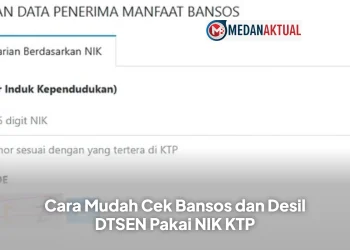Cara Mudah Cek Bansos dan Desil DTSEN Pakai NIK KTP