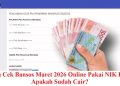 Cara Cek Bansos Maret 2026 Online Pakai NIK KTP, Apakah Sudah Cair?