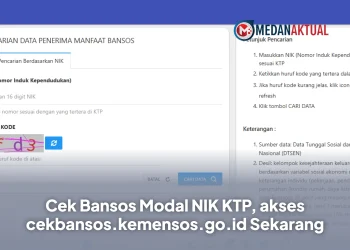 Cek Bansos Modal NIK KTP, akses cekbansos.kemensos.go.id Sekarang