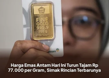 Harga Emas Antam Hari Ini Turun Tajam Rp 77.000 per Gram, Simak Rincian Terbarunya