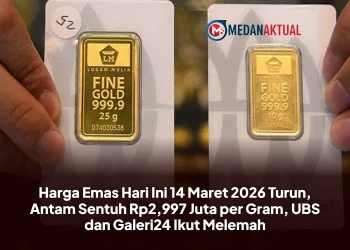 Harga Emas Hari Ini 14 Maret 2026 Turun, Antam Sentuh Rp2,997 Juta per Gram, UBS dan Galeri24 Ikut Melemah