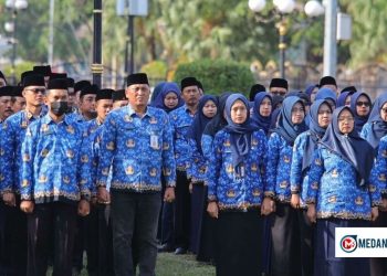 15.139 PPPK Paruh Waktu Sumut Resmi Dapat THR Lebaran 2026