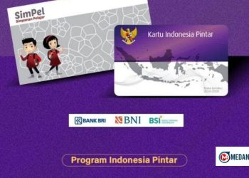 PIP Maret 2026 Kapan Cair? Ini Info Resmi & Cara Cek Online