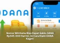 Nomor WA Kamu Bisa Dapat Saldo DANA Rp345.000 Hari Ini, Ini Cara Klaim DANA Kaget!