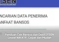 Panduan Cek Bansos dan Desil DTSEN Lewat NIK KTP, Cepat dan Mudah