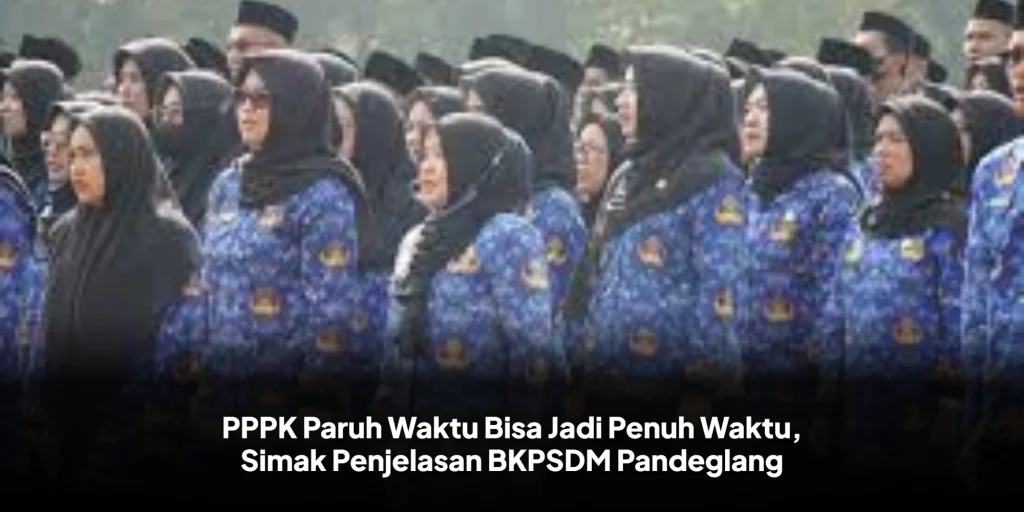 PPPK Paruh Waktu Bisa Jadi Penuh Waktu, Simak Penjelasan BKPSDM Pandeglang