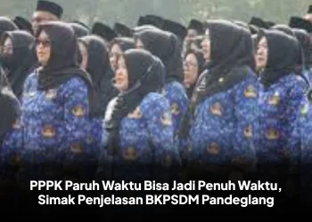 PPPK Paruh Waktu Bisa Jadi Penuh Waktu, Simak Penjelasan BKPSDM Pandeglang