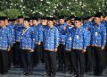CPNS 2026 Kapan Dibuka? Ini Syarat dan Cara Daftar di SSCASN