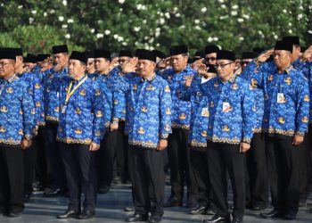 CPNS 2026 Kapan Dibuka? Ini Syarat dan Cara Daftar di SSCASN