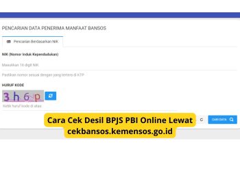 Cara Cek Desil BPJS PBI Online Lewat cekbansos.kemensos.go.id