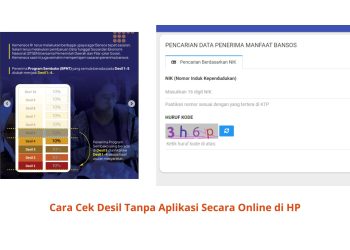 Cara Cek Desil Tanpa Aplikasi Secara Online di HP