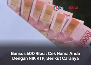 Bansos 600 Ribu : Cek Nama Anda Dengan NIK KTP, Berikut Caranya