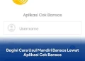 Begini Cara Usul Mandiri Bansos Lewat Aplikasi Cek Bansos