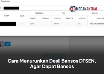 Cara Menurunkan Desil DTSEN Agar Bisa Dapat Bansos, Ini Penjelasannya