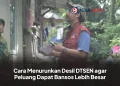 Cara Menurunkan Desil DTSEN agar Peluang Dapat Bansos Lebih Besar