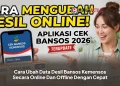Cara Ubah Data Desil Bansos Kemensos Secara Online Dan Offline Dengan Cepat