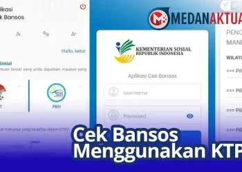 Cara Cek Bansos Menggunakan NIK KTP dari HP