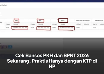 Cek Bansos PKH dan BPNT 2026 Sekarang, Praktis Hanya dengan KTP di HP