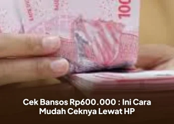 Cara Cek Bansos Rp600.000 : Ini Cara Mudah Ceknya Lewat HP