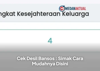 Cek Desil Bansos : Simak Cara Mudahnya Disini