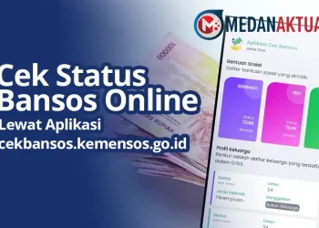 Cek Status Bansos Online Lewat Aplikasi dan cekbansos.kemensos.go.id
