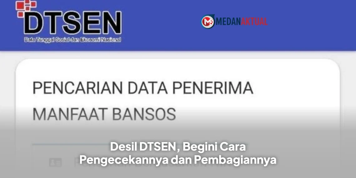 Desil DTSEN, Begini Cara Pengecekannya dan Pembagiannya