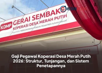 Gaji Pegawai Koperasi Desa Merah Putih 2026: Struktur, Tunjangan, dan Sistem Penetapannya