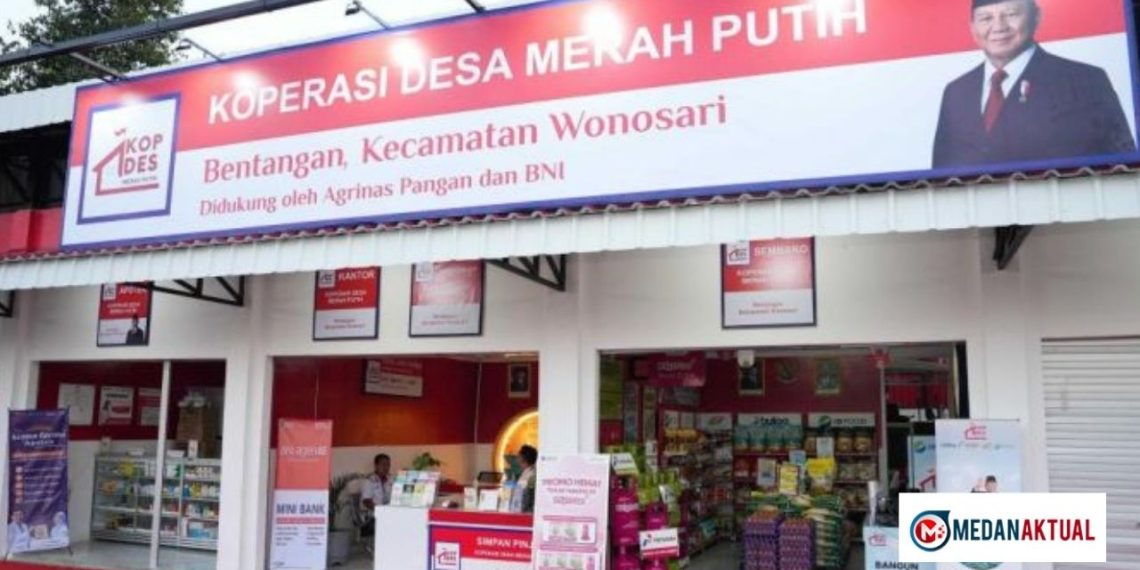 Rekrutmen Manager Kopdes Merah Putih Sampai 24 April 2026, Daftar di phtc.panselnas.go.id