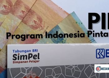 PIP April 2026 Untuk Anak Sekolah Sudah Cair, Ini Cara Cek Nominal dan Penerimanya