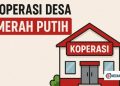Link Daftar Manajer Koperasi Merah Putih di phtc.panselnas.go.id, Cek Syaratnya