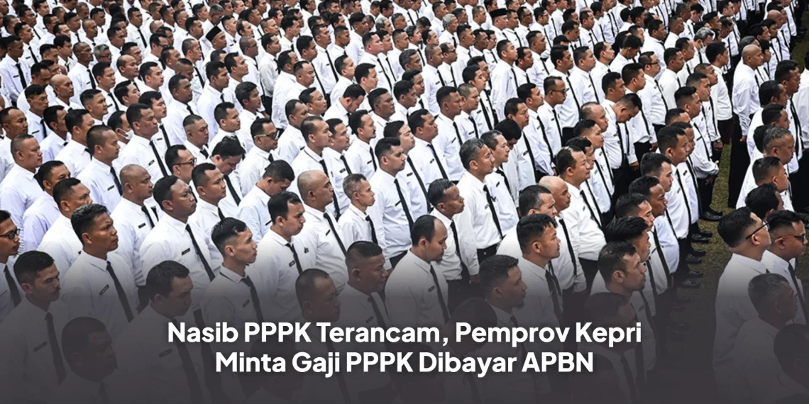 Nasib PPPK Terancam, Pemprov Kepri Minta Gaji PPPK Dibayar APBN