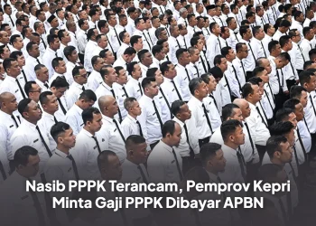 Nasib PPPK Terancam, Pemprov Kepri Minta Gaji PPPK Dibayar APBN