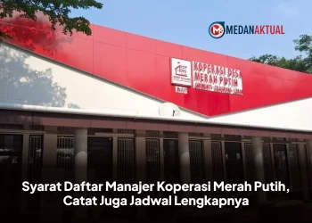 Syarat Daftar Manajer Koperasi Merah Putih, Catat Juga Jadwal Lengkapnya
