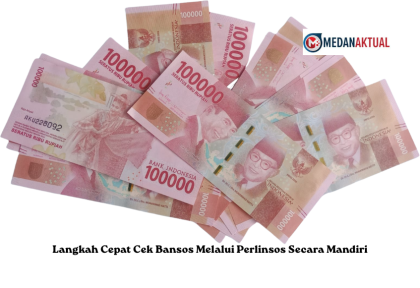 Langkah Cepat Cek Bansos Melalui Perlinsos Secara Mandiri